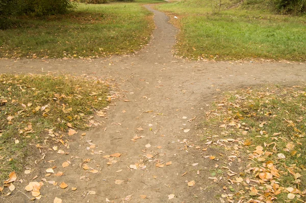 The crossroads of paths in the city autumn Park autumn — Stock Photo, Image