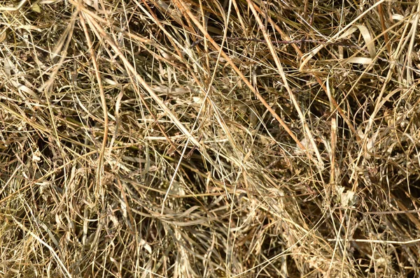 güzel rustik zemin saman bir çayırda