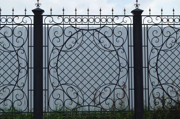 Arka plan cam ağaç modern ofis binası