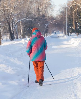Kuzey yürüyüş, kamp woods ya Park, aktif ve sağlıklı yaşam tarzı yetişkin bir kadın arkadan görünümü