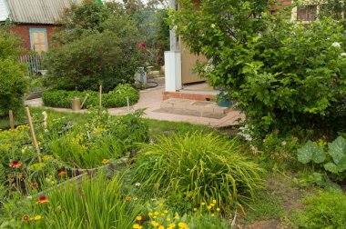 Çiçeklik ve yaz bahçesinde sebze yatak