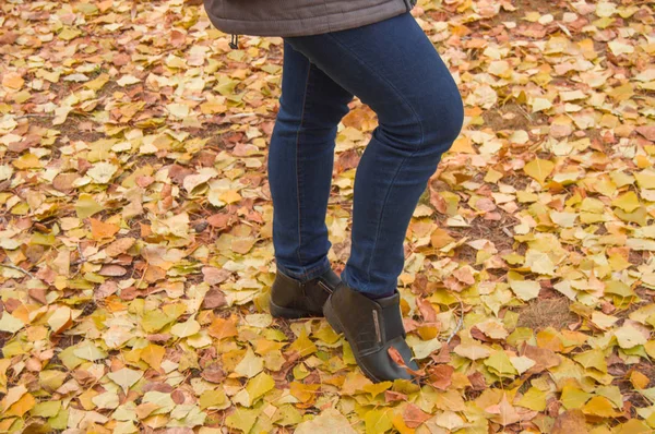 Pernas de mulher com jeans azul claro e botas pretas em folhas de outono laranja — Fotografia de Stock