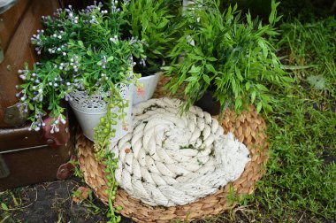 Güzel natürmort bahçede. Jüt halat, Mat, bitkiler pota