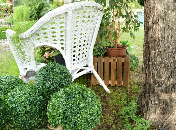 White wicker chair in the garden, plants in pots stand on the chair. Beautiful design — Stock Photo, Image