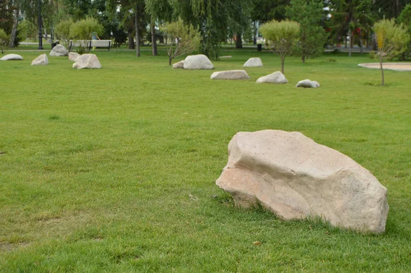 緑の芝生に白い石横に庭の造園、 — ストック写真