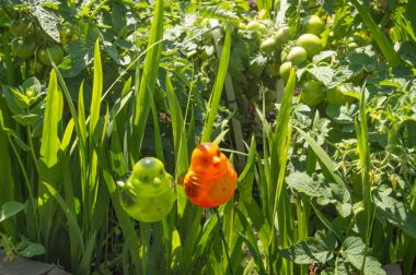 bahçe süsleri, yeşil çim dekoratif kuş çifti