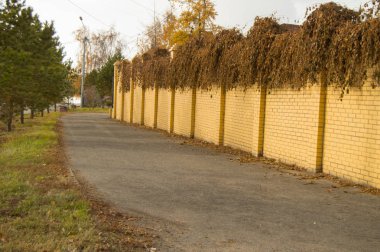 Güzel sarı tuğla örgü ve sonbaharda üstünde o kıvırcık kurutulmuş bitkiler