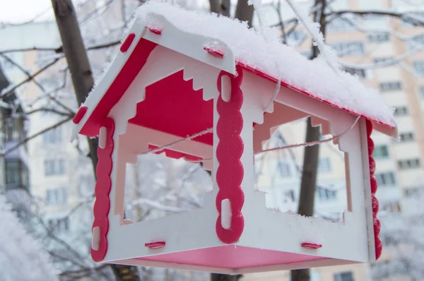 Mangeoire à oiseaux rouges suspendue à un arbre couvert de neige en ville en hiver — Photo