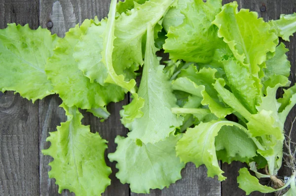 Färska gröna salladsblad på gamla trä bakgrund — Stockfoto