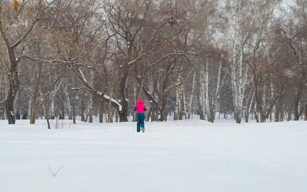 Homem de casaco vermelho esqui cross country no inverno Parque, a vista das costas — Fotografia de Stock