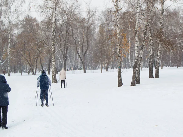 Dva staří lidé lyžování v zimě parku. Pohled zezadu — Stock fotografie
