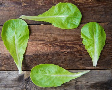 koyu ahşap arka plan üzerinde taze organik marul