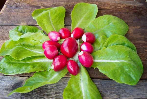 Rzodkiewki i świeżej sałaty organicznych na ciemnym tle drewnianych — Zdjęcie stockowe