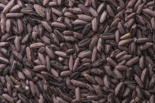 Achtergrond van ruwe donker rode paarse rijst, close-up — Stockfoto