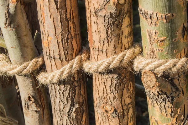 Rope tied in a knot around wooden poles, fence posts. Closeup