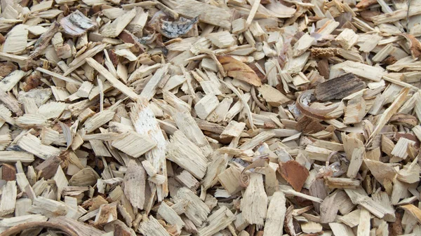 Dřevěné hobliny čipy, přírodní materiál pozadí vzorek — Stock fotografie