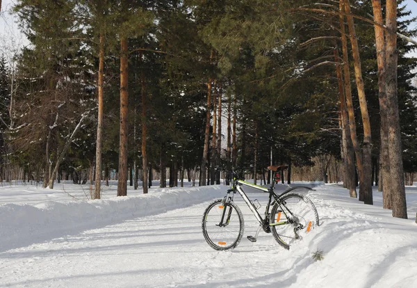 冬の公園で雪に立つバイク — ストック写真