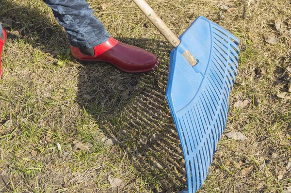 女性脚的特写在蓝色牛仔裤和红色橡胶靴与耙, 庭院工作 — 图库照片
