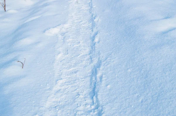 Paisaje invernal con un sendero cubierto de nieve en un campo o parque invernal, nadie, patrón — Foto de Stock