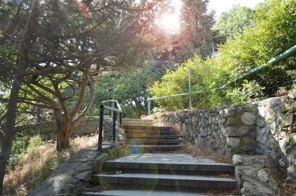 Una hermosa escalera con escalones de piedra y una rejilla de metal entre los matorrales de árboles en un parque sombreado, el sol brilla a través del frondoso follaje —  Fotos de Stock