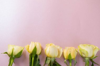 Pembe arkaplan ve şablonun alt tarafında sarı güller var. Davetiye için güzel boş kart, kopyasıyla selamlar. Tepeden manzara, düzdü.