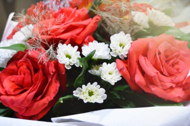 Kırmızı güller ve beyaz kasımpatılarla dolu yatay arkaplan