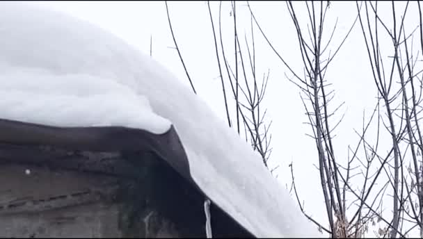 Μεταλλικό υπόστεγο με οροφή καλυμμένη με χιονοστιβάδα το χειμώνα κατά τη διάρκεια της χιονόπτωσης, μοντέρνο βιομηχανικό εξωτερικό, πανοραμική θέα, 4k — Αρχείο Βίντεο