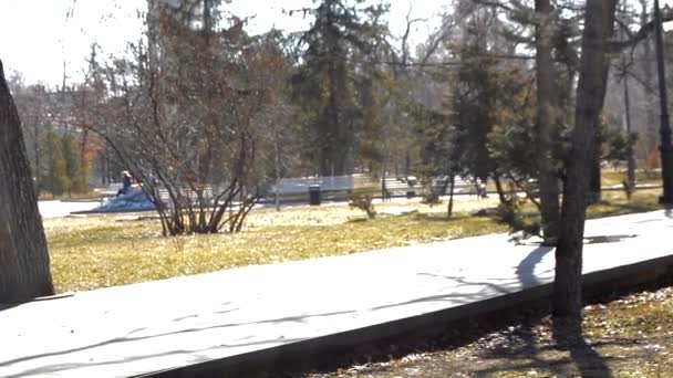 Warme zonnestralen verlichten de boomstammen in het voorjaar in het stadspark, toevallige voorbijgangers wandelen en verheugen zich — Stockvideo