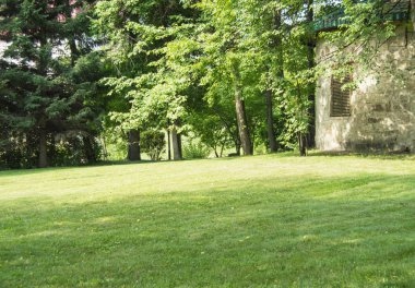 Ağaçlarla çevrili yeşil çimenler ve eski yuvarlak bir taş ev, güneş ışığı, yaz köyü manzarası.