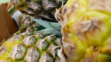 Arka plan ananas egzotik meyve dokusu yakın plan 4k 30fps Ultrahd çözünürlük, yavaş çekim, üst görünüm.