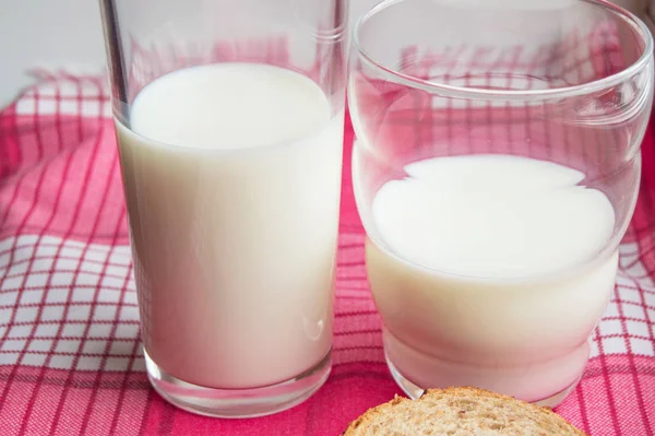 Dois copos de leite em um guardanapo vermelho xadrez, luz solar, comida saudável e conceito de bebida dietética para crianças e adultos — Fotografia de Stock