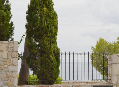 Tall cypress with cones and metal lattice fence with stone pillars on the Mediterranean coast, Palma de Mallorca, Balearic Islands