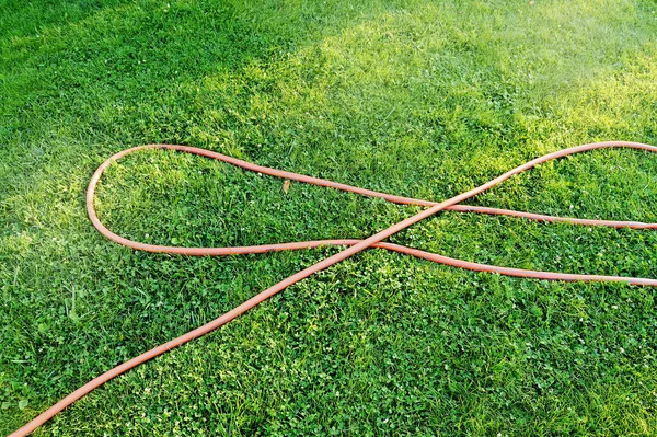 Gummi slang för vattning på en klippt snygg grön gräsmatta på en solig sommardag — Stockfoto