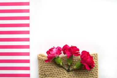 Yaratıcı bir tebrik kartı için bahar düzeni, üç pembe karanfil ve yazı için bir yer, Anneler Günü için bir tebrik kartı tasarımı konsepti.