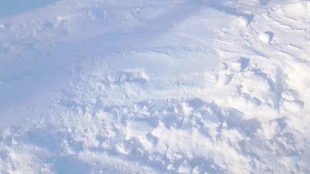 Snow Covered Land Sunlight Shadows Snowy Blue White Background Winter — Stockvideo