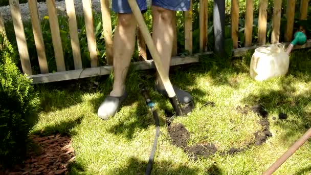 素足の短い男の農家は シャベルで庭の木を植えるために緑の芝生の上に穴を掘っています 夏や春の時間帯には 太陽の明るい光 — ストック動画