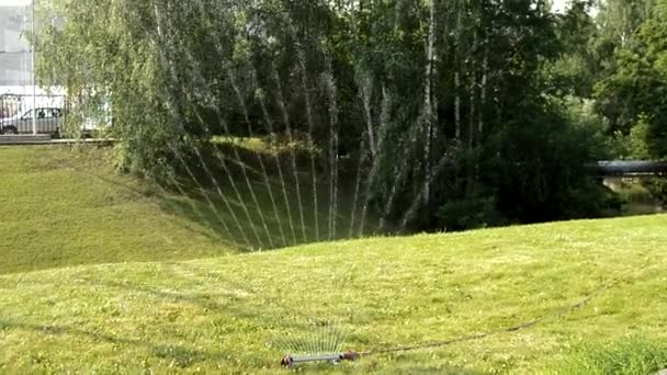 夏の公園の緑の芝生に晴れた日に水がファンの形で噴霧され 木の背景に Hdビデオ — ストック動画
