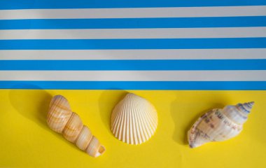 Deniz yaz arkaplanı kabuklu sarı ve mavi kağıttan yapılmış ve deniz kıyısını sembolize eden alanın bir kopyası, düz bir görünüm yatıyordu..