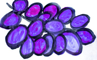 Bir demet mor üzümün suluboya resmi, beyaz arka planda izole edilmiş, şirin bir el çizimi..