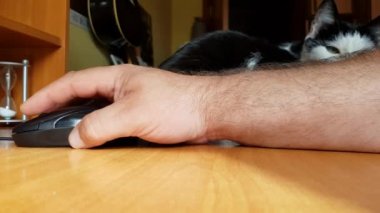 Ahşap bir masada fareyle birlikte çalışan beyaz bir adamın eli, uzaktan çalışma, serbest çalışma, işyeri