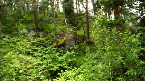 Teleferikli bir araçla dağdan inmek, geçilemez bir çalılıkta ağaçlar arasında yavaş hareket etmek, Altai, Rusya, HD video. — Stok video