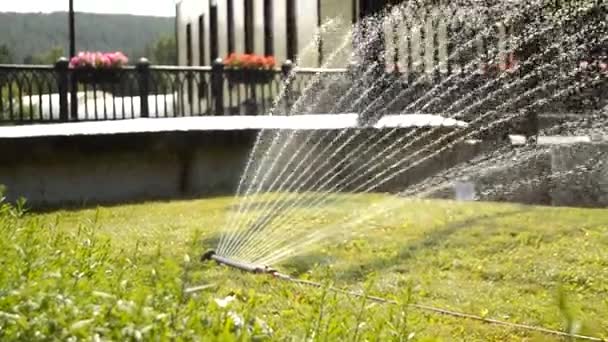 Sistem modern de ventilatoare pentru irigarea gazonului într-un parc de vară, vedere la plante prin jeturile unei mașini de udat, picături spumante de apă curată la soare, video HD — Videoclip de stoc