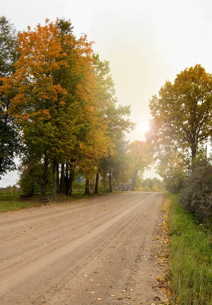 Dirt road in the countryside, yellow leaves on trees, along the road, sunlight at sunset