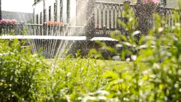 夏の公園での芝生灌漑のための近代的なファンシステム 散水機のジェットによる植物の眺め 太陽の下できれいな水の輝く滴 Hdビデオ — ストック動画
