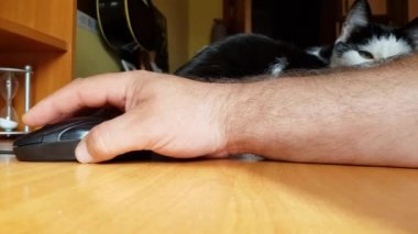 Ahşap bir masada fareyle birlikte çalışan beyaz bir adamın eli, uzaktan çalışma, serbest çalışma, işyeri