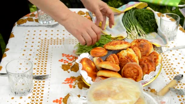 Woman Prepares Lunch Family Outdoors Lays Green Onions Vegetables Next — Stock Video