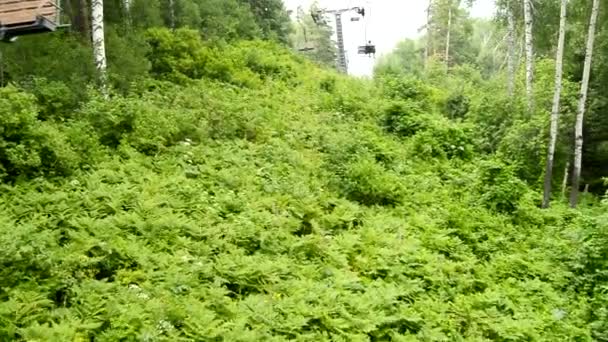 在多云的天气和大雾中乘坐缆车下山 在难以逾越的灌木丛中缓慢地沿着树木移动 俄罗斯阿尔泰 Hd视频 — 图库视频影像
