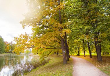 Şehir parkında sonbahar, sokak ve gölet, pitoresk manzaralar, parlak sarı ve turuncu renklerde yeşillikler, güneş ışığı.