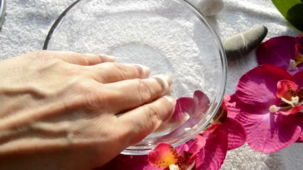 Una mujer se hace la manicura en casa. Accesorios de manicura y spa, manos de cerca — Vídeos de Stock