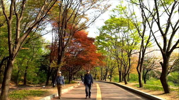 Seoul, Corea del Sud - 15 aprile 2016: 4 maggio 2016 passeggiata nel parco di Seoul, Corea del Sud — Video Stock